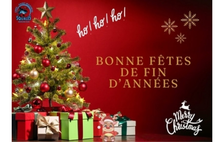Fêtes de fin d'année